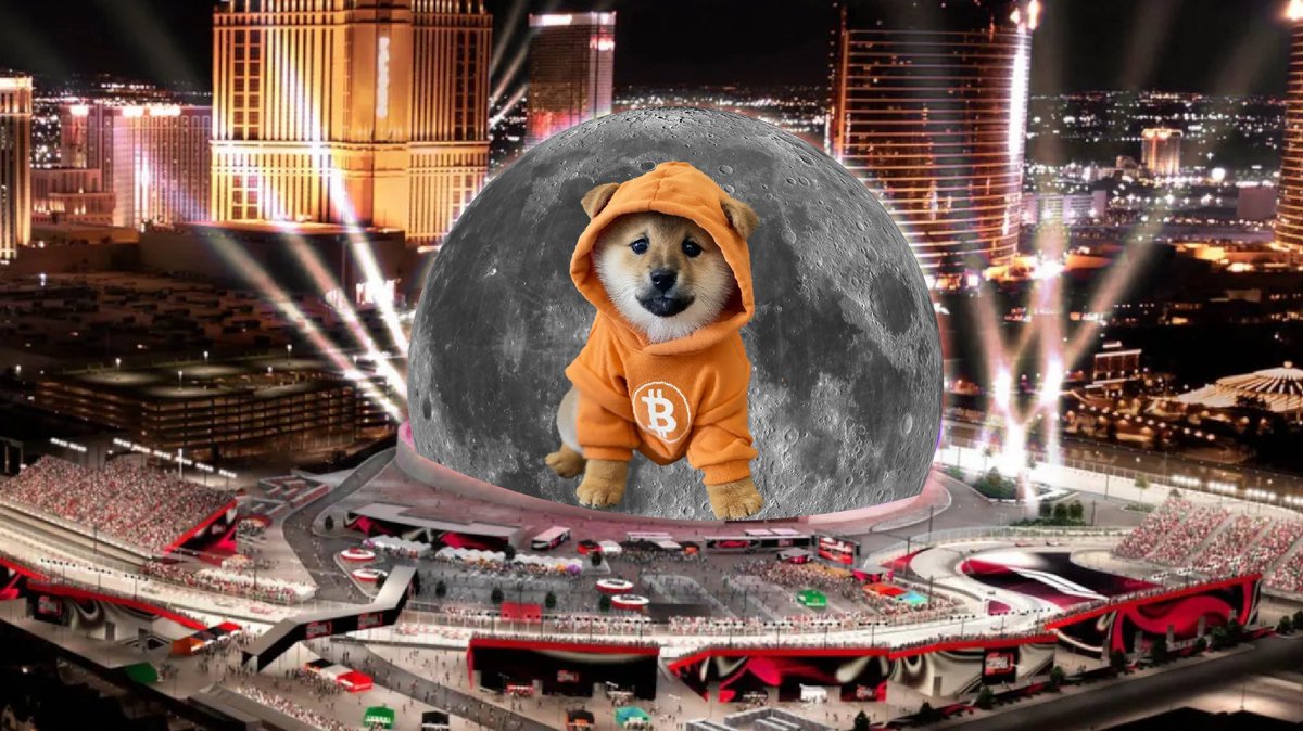 Repost if you think we should put $DOG on The Sphere