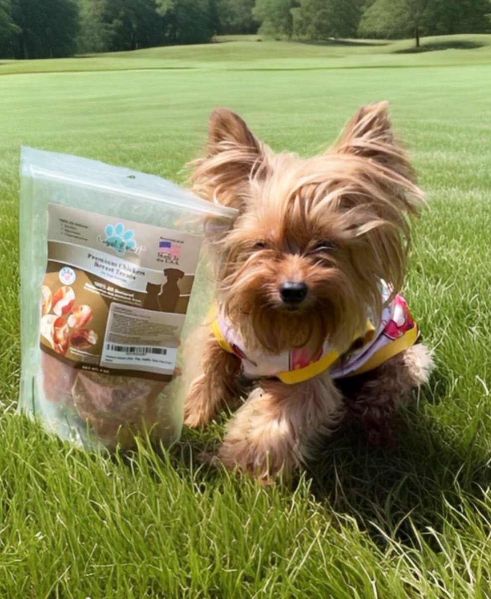 Thank you @Stefani06910609 for my treats ❤️ Who thinks my human should open the bag and give me one? #treats #FridayEve #cute #love #DogsOfTwitter #DogsOnTwitter #dogsarelove