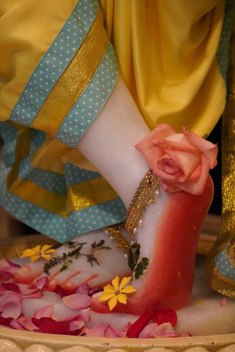 Beautiful Lotus Feet Darshan 💛🙏