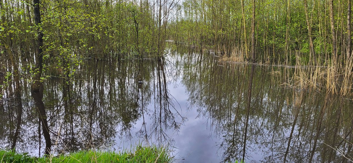 Tjeerd Langhout tweet media