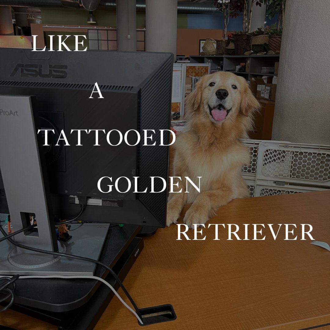 We introduce THE TORTURED CREATIVE DEPARTMENT.

Disclaimer: We didn’t tattoo our Golden Retriever. 

#TTPD #AgencyLife
