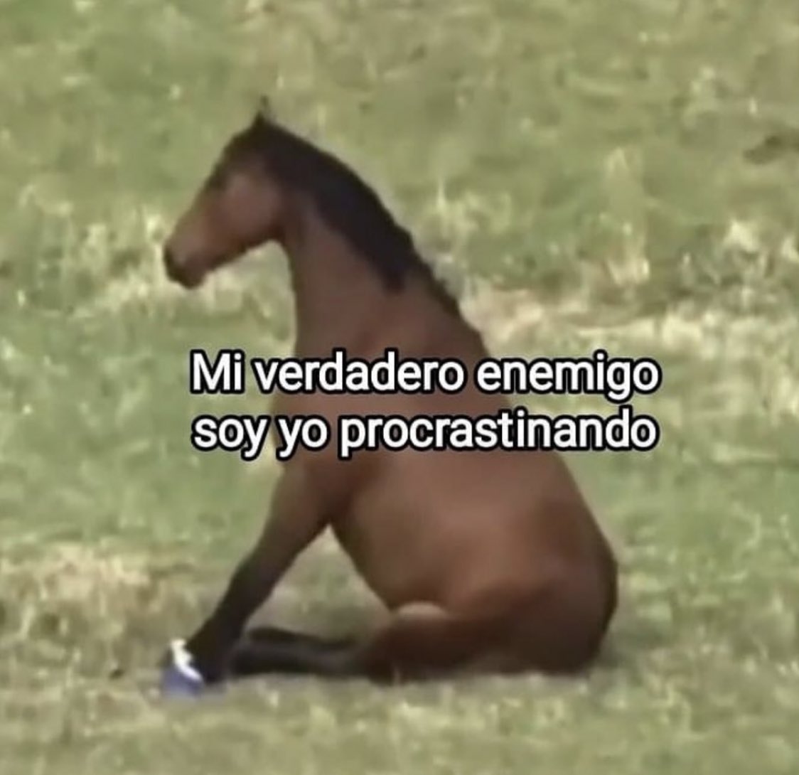 benja tweet media