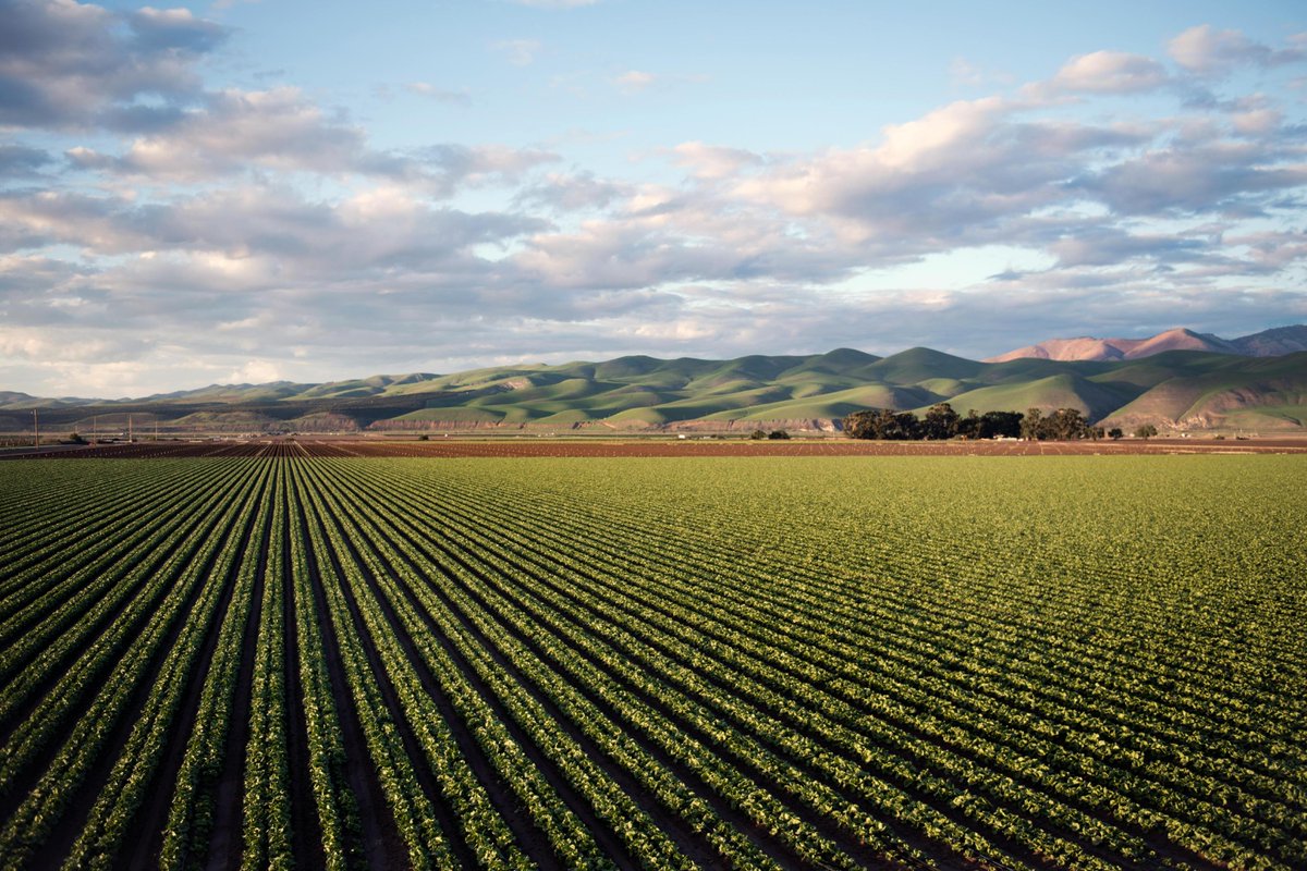 Protect your farm and your livelihood with comprehensive insurance coverage. Don't let unexpected events leave you high and dry. 

#InsuranceAgency #InsuranceCompany #CommercialInsurance #AutoInsurance #FarmInsurance #HomeInsurance #HomeownersInsurance #RentersInsurance