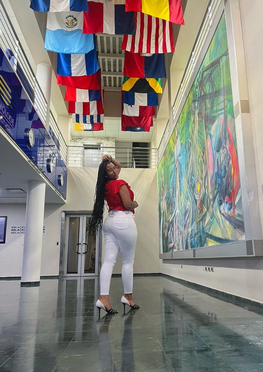 BianDiplomacy's tweet photo. Hace unos días tuve la oportunidad de participar en el Taller Fundamentos de los Derechos Humanos y el Sistema de Protección en la República Dominicana.🇩🇴✨ https://t.co/IlrGhck6jT