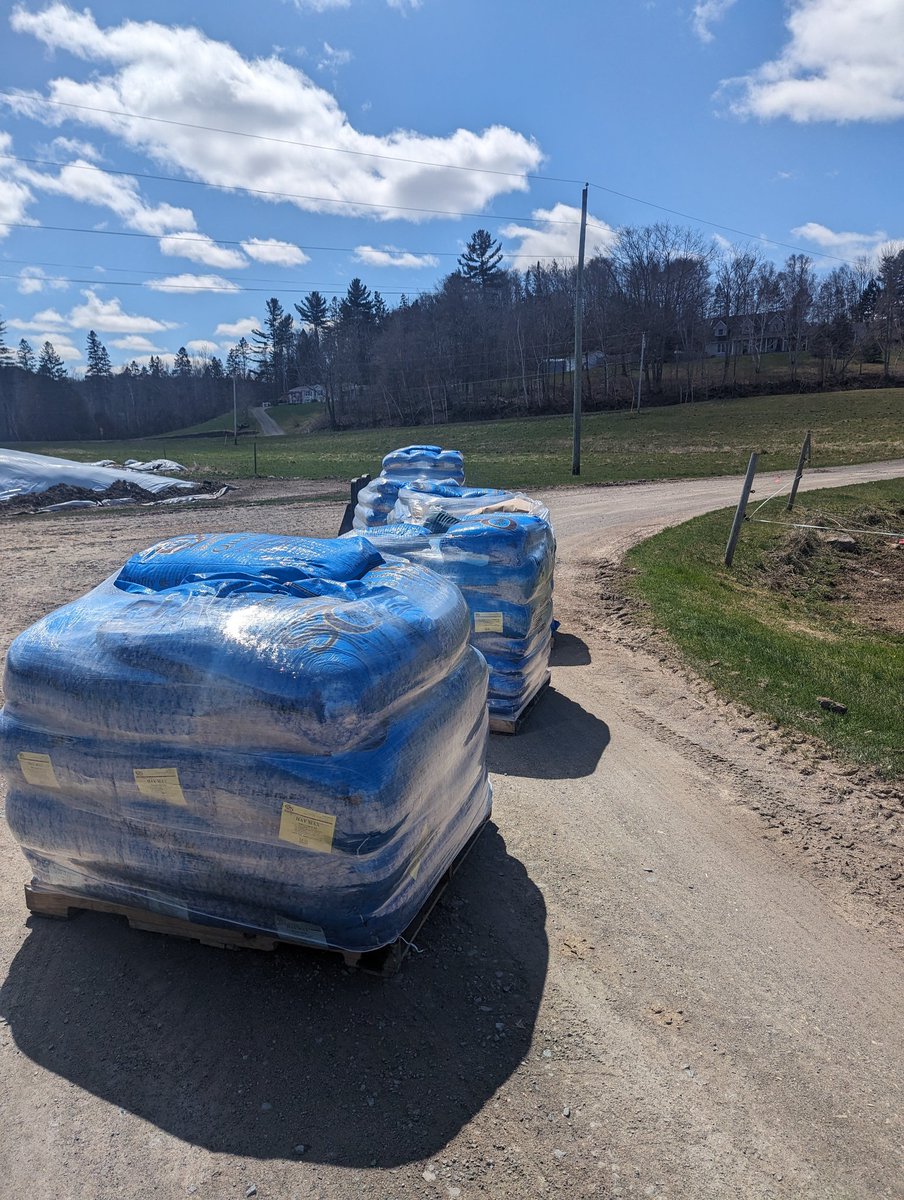 Some <a href="/QualitySeedsLtd/">Quality Seeds Ltd</a> forage seed just landed. Still time to get forage, turf or cover crop seed. Contact me if interested.