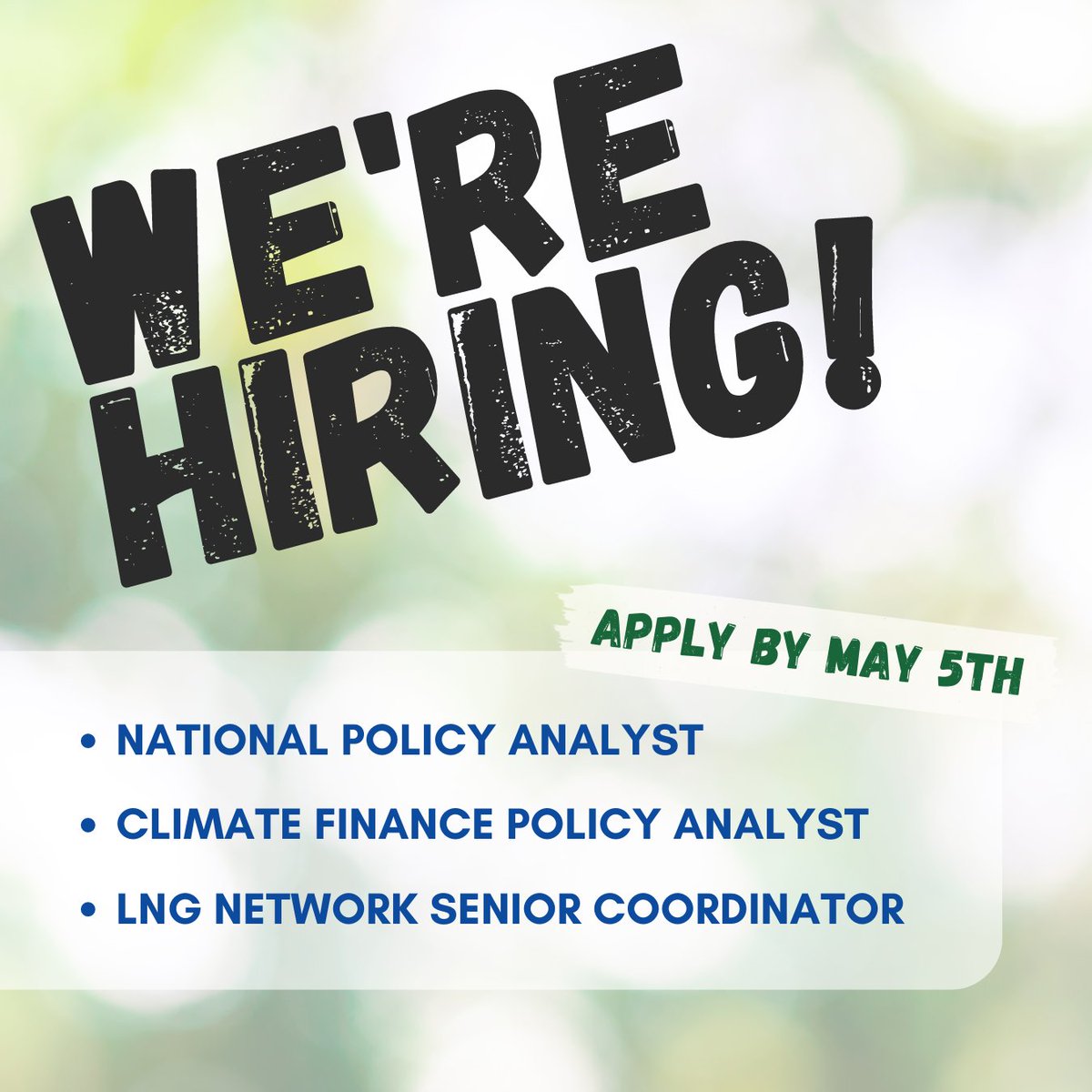 JOIN OUR TEAM!🌱 We are currently hiring for the following positions: 📂National Policy Analyst 💸Climate Finance Policy Analyst 🏭LNG Network Senior Coordinator Learn more and apply here! 👇 climateactionnetwork.ca/get-involved/w…