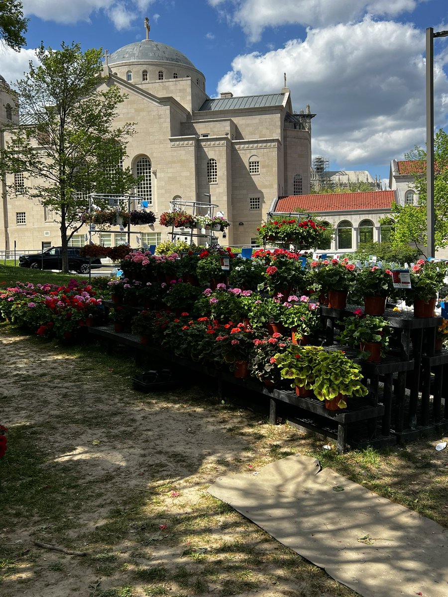 Looking for something for your garden? 
Johnson’s is long gone, but there’s a pop-up garden market on Massachusetts Avenue by St. Sophia’s.