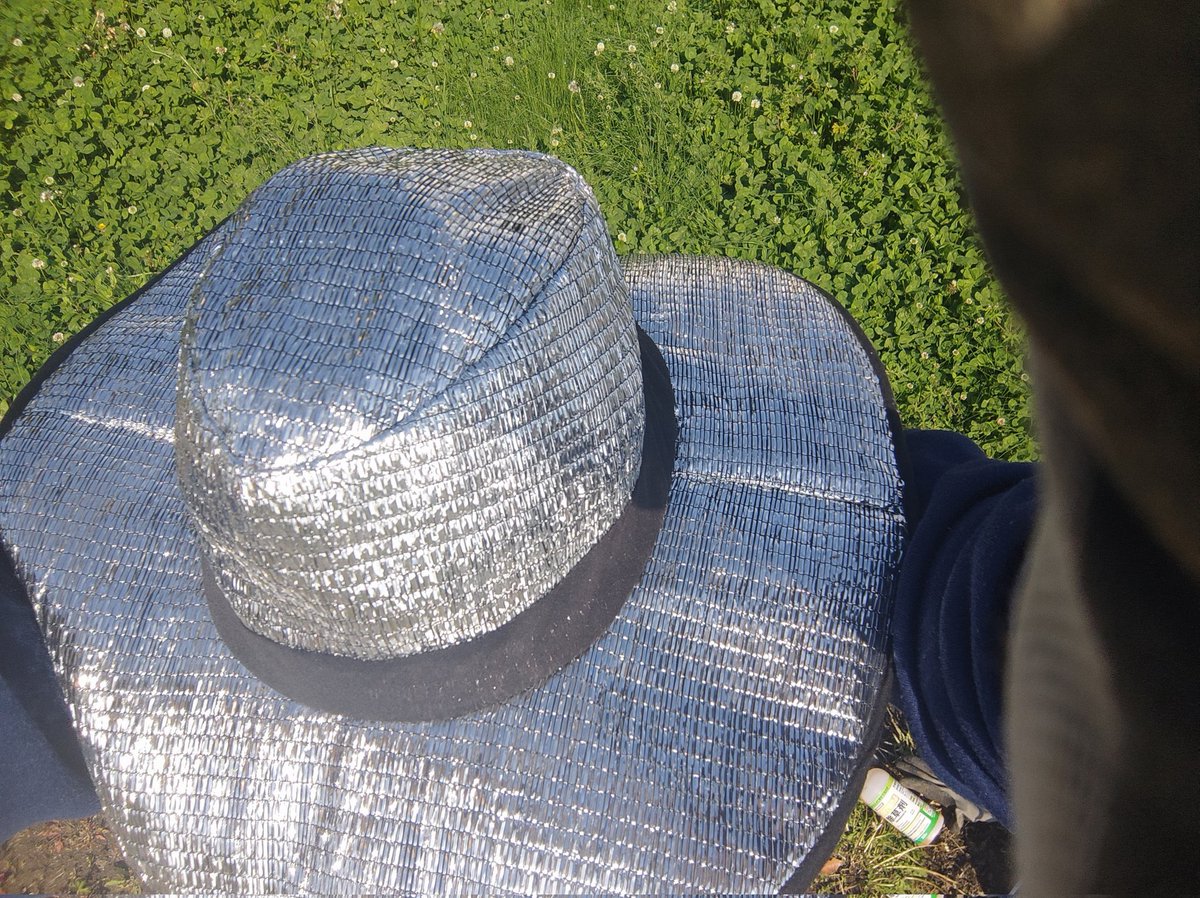 ワークマンのアルミ帽子めっちゃ涼しー
草むしりが捗る