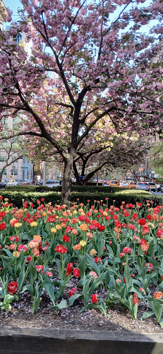 A perfect blue sky Spring Day on Park Avenue today. #NYC #ParkAvenue