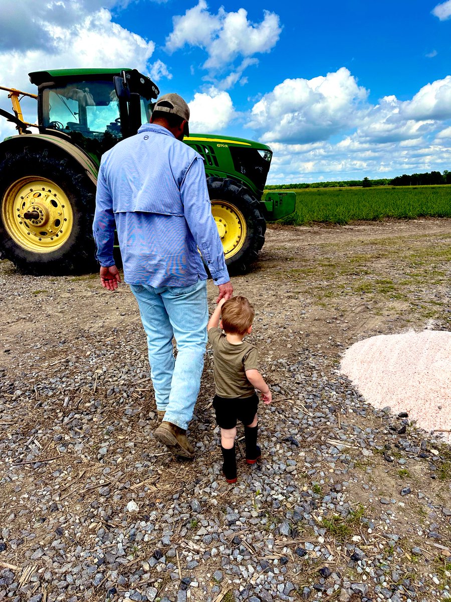 Matt 🐺 tweet media