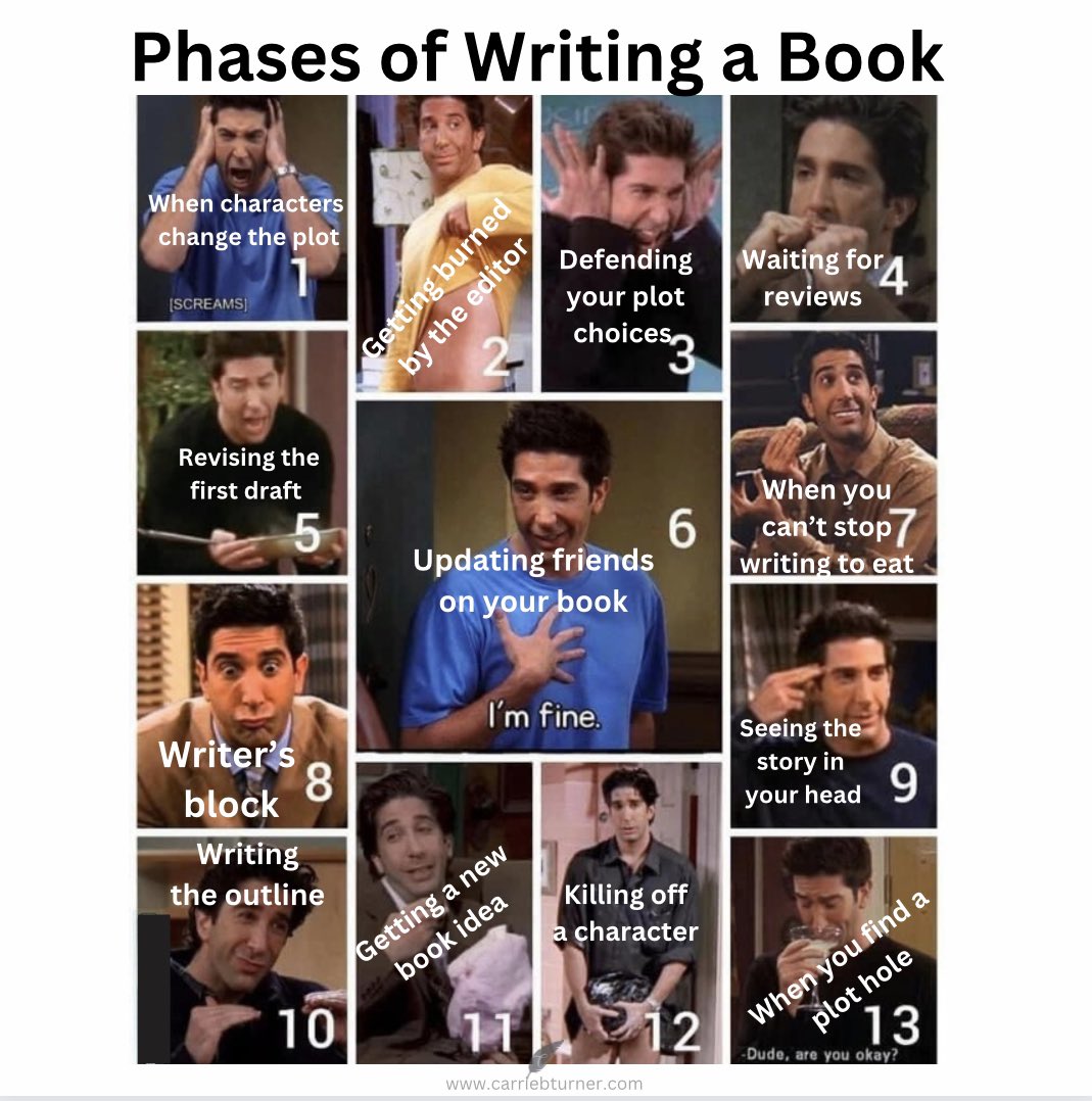 On a scale of 1 to Ross Geller, how’s your writing going today? 

#memeschallenge #writerslife #writingcommunity #authorsofinstagram