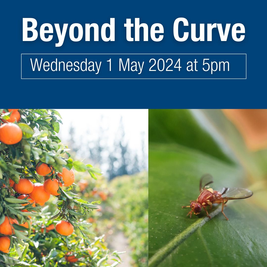 📢 Don't miss our 'Beyond the Curve' grower and industry meeting and fruit fly update, with a short presentation & BBQ. 📢 📅 Join us next Wednesday 1 May from 5 - 6pm @ Field Days Function Centre (52 Field Day Drive, Barmera). 🎫 RSVP at ow.ly/zWGf50RmLcK #SAfruitfly