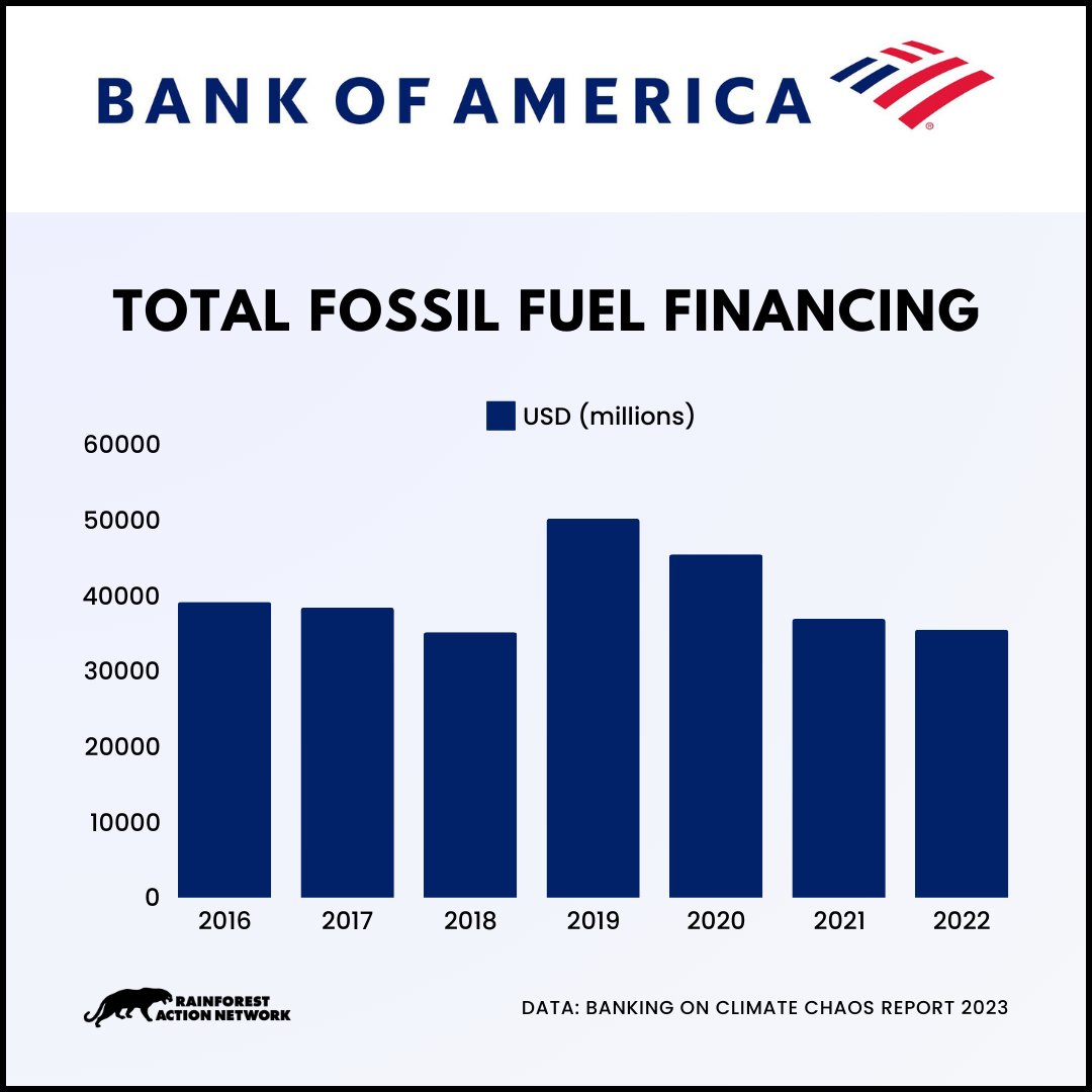 .@BankofAmerica is financing the climate crisis and we have the receipts! 🧾 In 2022 alone, BofA pumped $35 BILLION into fossil fuels — only a fraction of the $280 BILLION provided from 2016–2022. Check out the latest #BankingOnClimateChaos report at bankingonclimatechaos.org 🔥