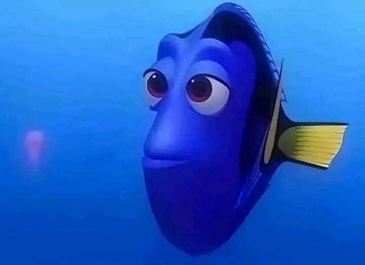 En Júpiter tweet media