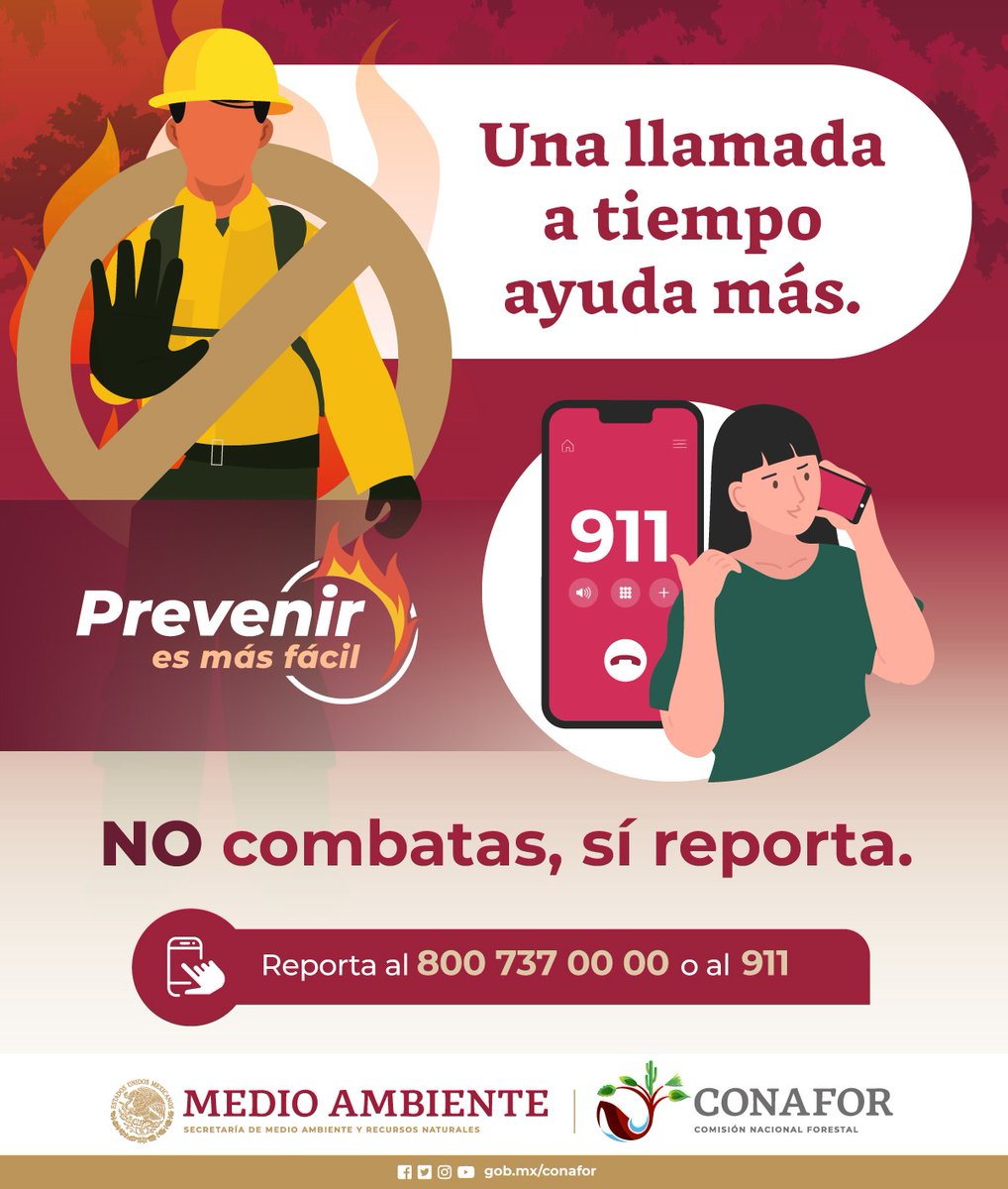 🚫 No intentes apagar un #IncendioForestal 🔥🌳 si no tienes capacitación para combatir el fuego. No arriesgues tu vida. Mejor reporta 📲si ves un incendio, es seguro y ayuda a que las brigadas llegan a tiempo ⏰.