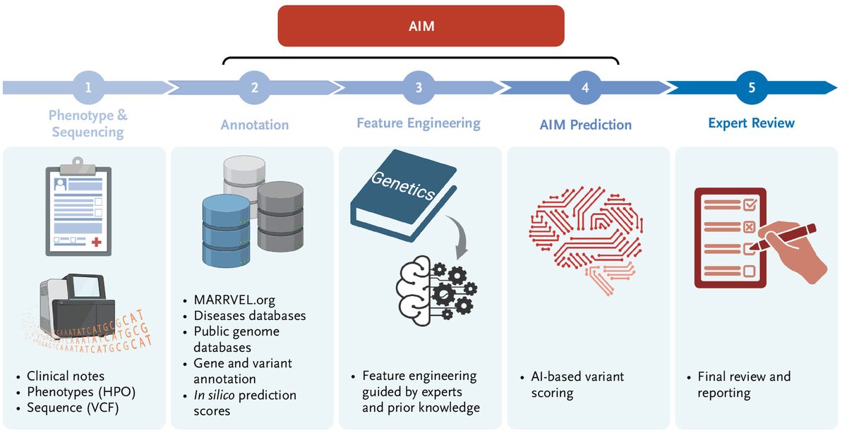Researchers @bcmhouston @BaylorGenetics & Duncan NRI @TexasChildrens have recently developed a machine learning tool called AI-MARRVEL (AIM), to improve the prediction of gene variants causing rare disorders: bit.ly/3JAcqLa #ArtificialIntelligence #Genetics