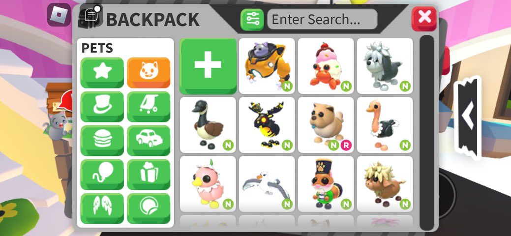 ✨🌹🍬Knubby🍬🌹✨ tweet media