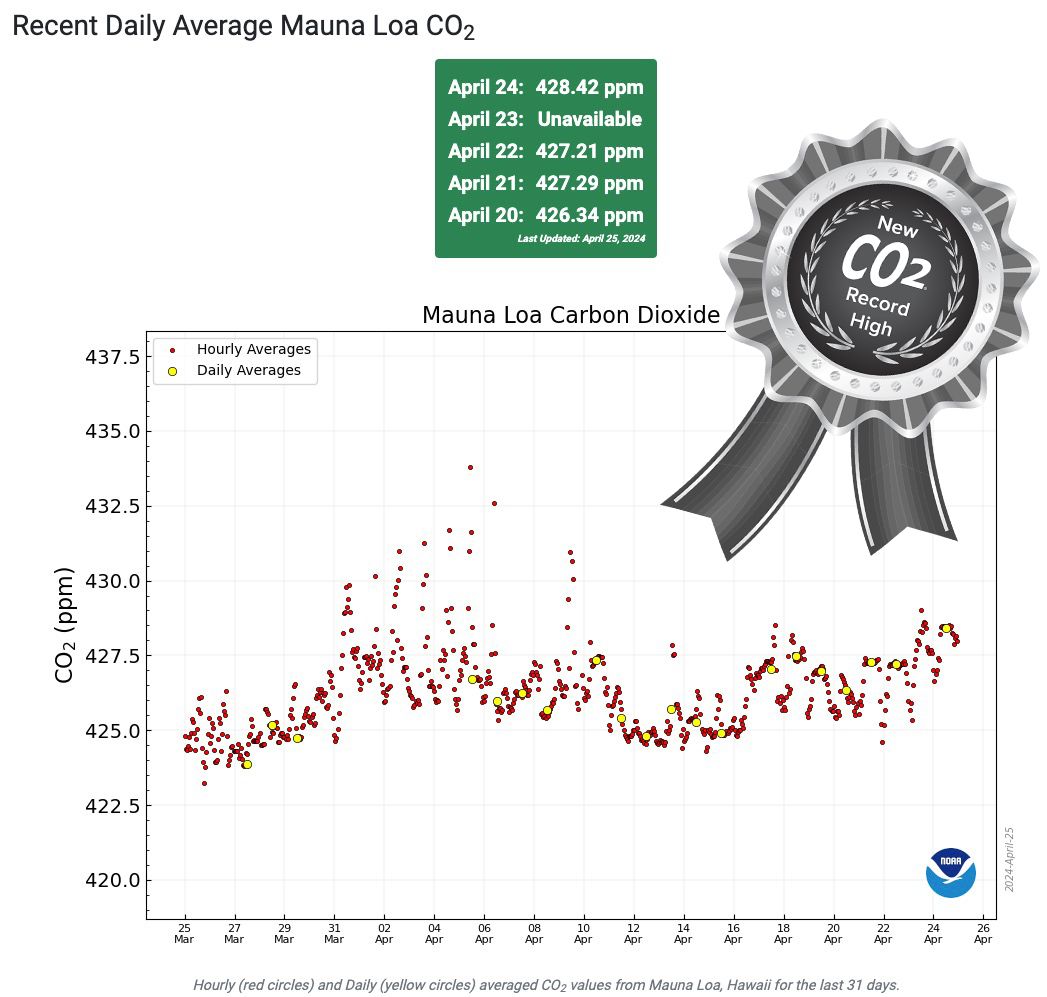 🏆🏆  Atmospheric #CO2 hits NEW RECORD HIGH for the HUMAN ERA of 428.42 PPM on April 24, 2024. 🏆 🏆    📈 <a href="/NOAA/">NOAA</a> Mauna Loa data: gml.noaa.gov/ccgg/trends/mo… 📈   🌍 Stay updated on CO2 levels with CO2.Earth: co2.earth/co2-records &amp; co2.earth/daily-co2 🌍