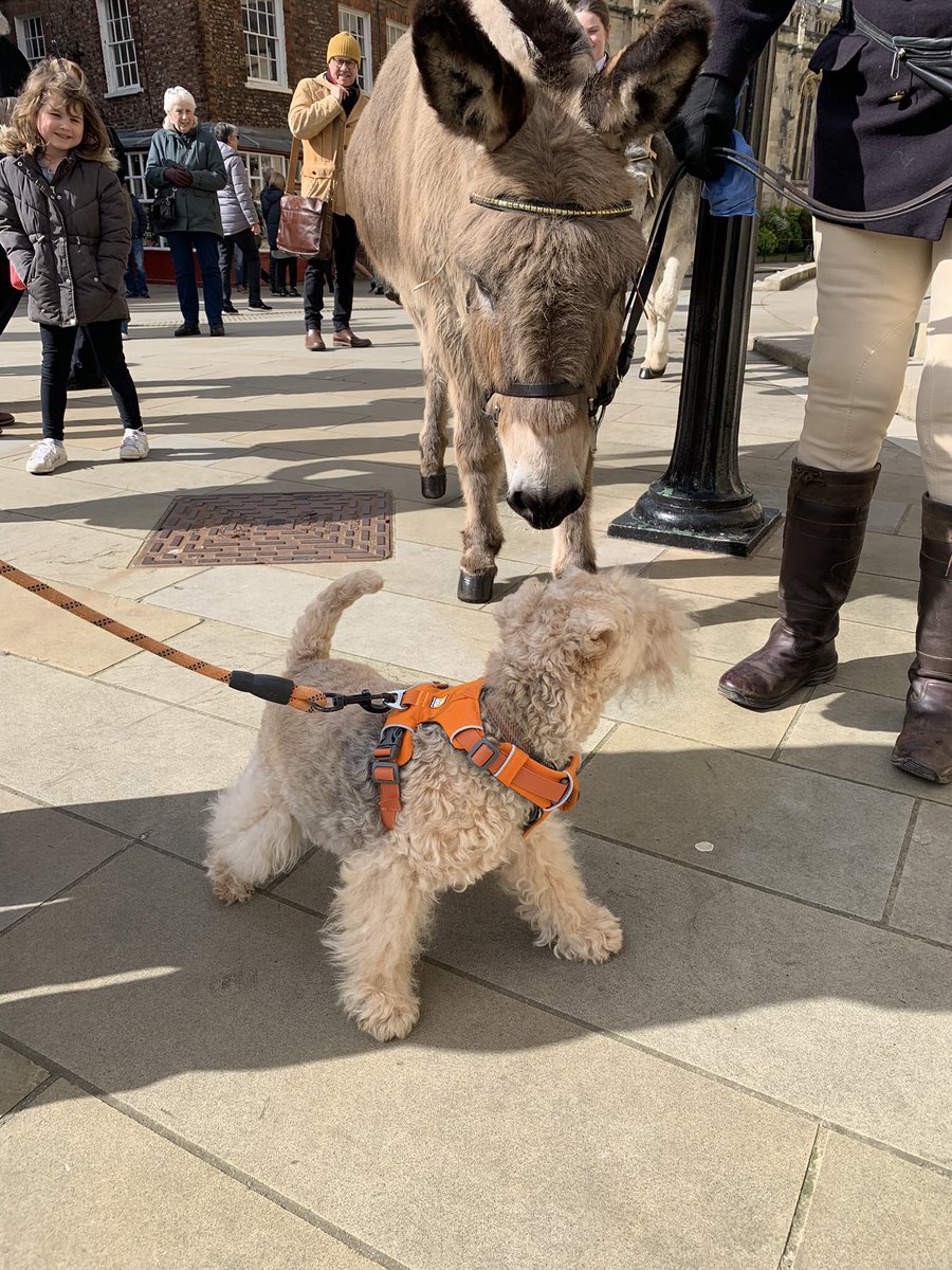 Oh how I laughed when Mum said look out there’s a donkey 🫏 behind you 🤩 #ThrowbackThurday But there was 🤣🤣🤣