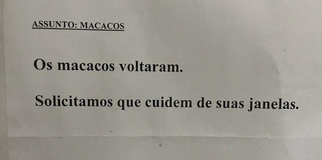 🚨ATENÇÃO🚨

Ta 
Chegando 
A hora…

⚡️🦍