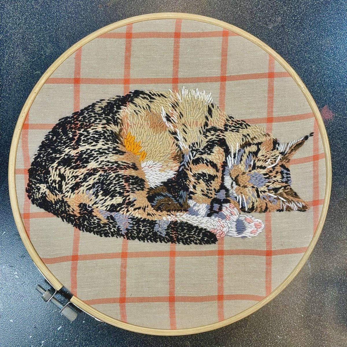 Hand embroidery of my cat