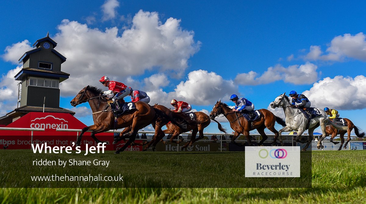 The penultimate race at @Beverley_Races had an exciting charge up the home straight with several horses in contention. Where's Jeff and Shane Gray came out on top to win the race the pair came second in last season! They score for David & @MickEasterby and owner Mr A G Pollock!