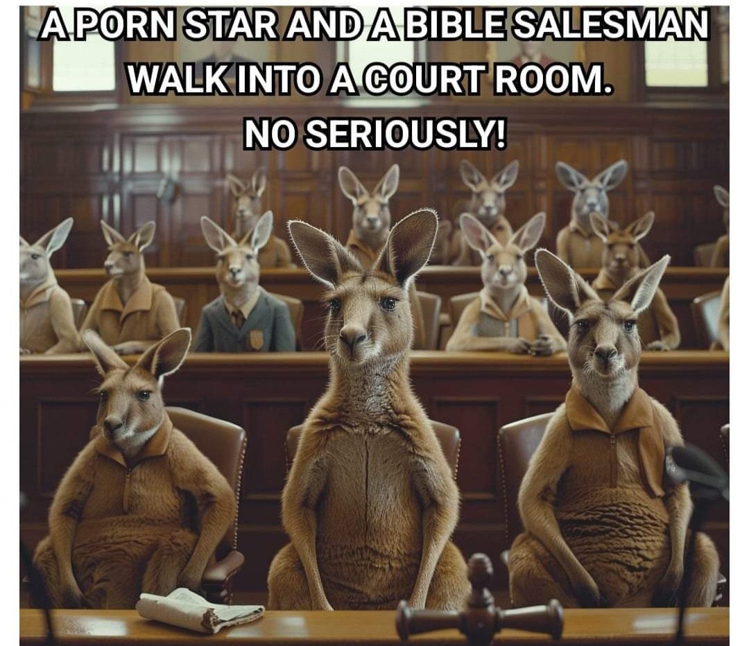 A PORN STAR AND A BIBLE SALESMAN WALK INTO A COURT ROOM. NO SERIOUSLY ‼️