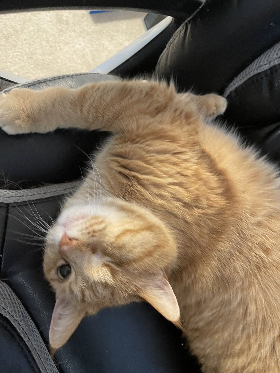 We are off this Friday. It’s either because poor planning or because this jerk is holding Jordan’s chair hostage. See you Monday