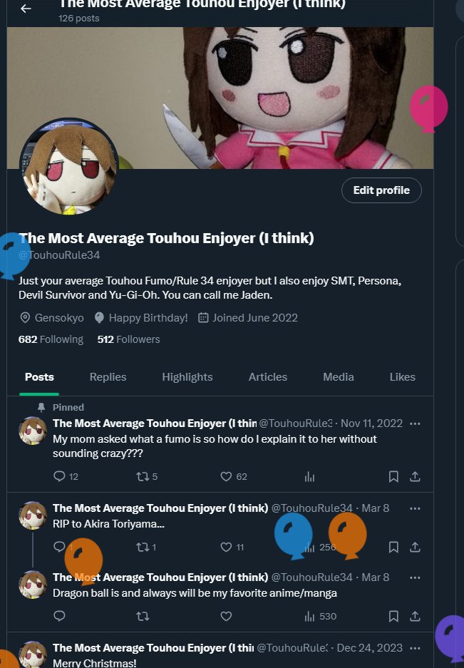 The Most Average Touhou Enjoyer (I think) tweet media