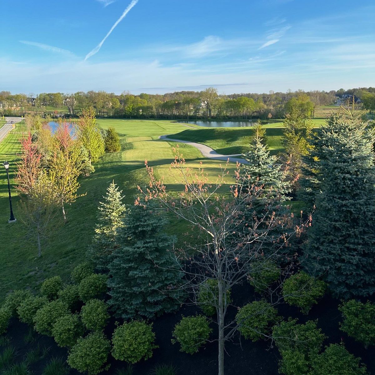 Jeremy Guy tweet media