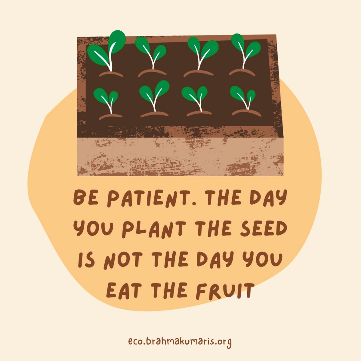Be Patient. The day you plant the seed is not the day you eat the fruit. #ClimateAction #EarthDay #environment #ecobrahmakumaris