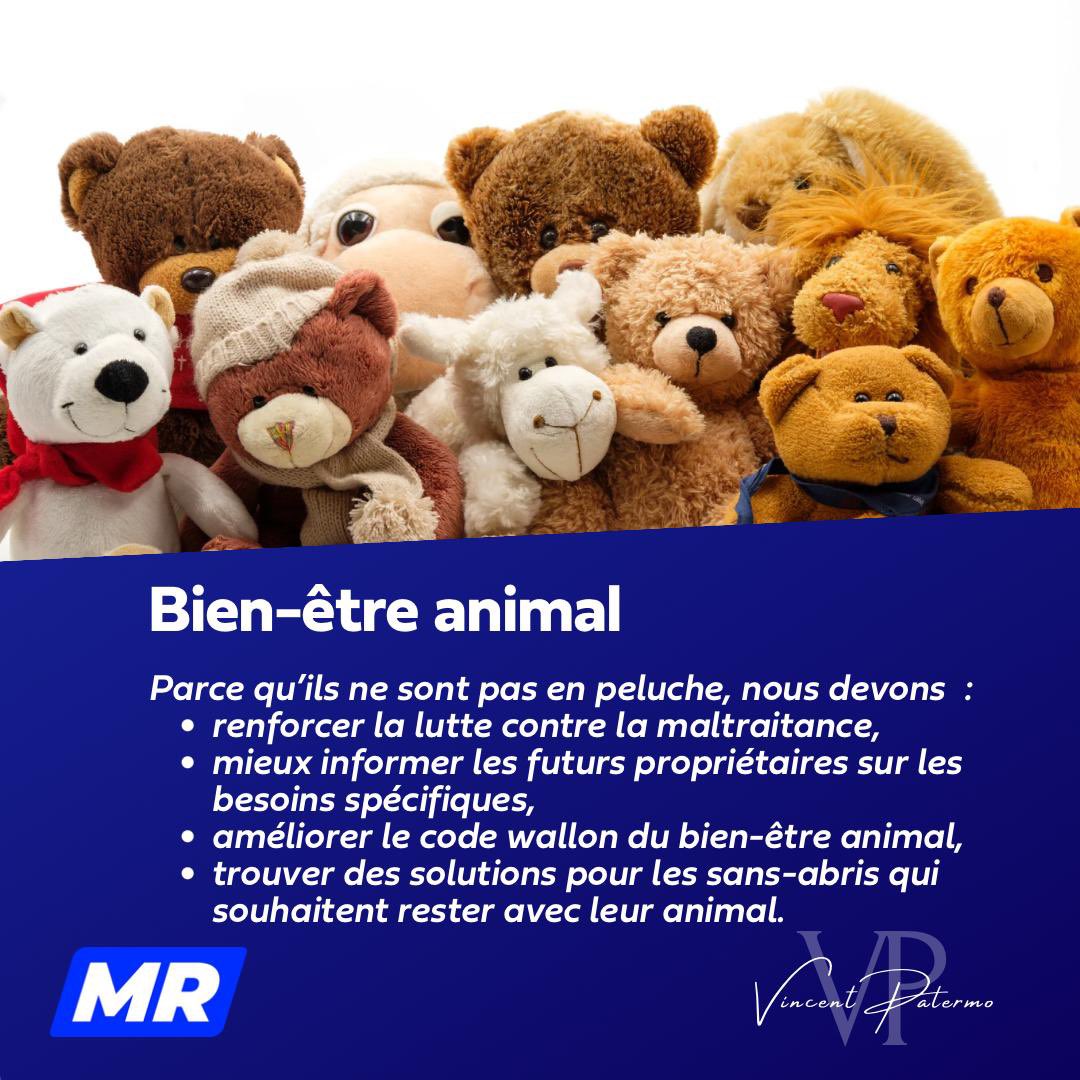 Parce qu’ils nous procurent un maximum de bonheur nous devons en échange leur donner amour et attention !#animallovers #bienetreanimal #Responsable