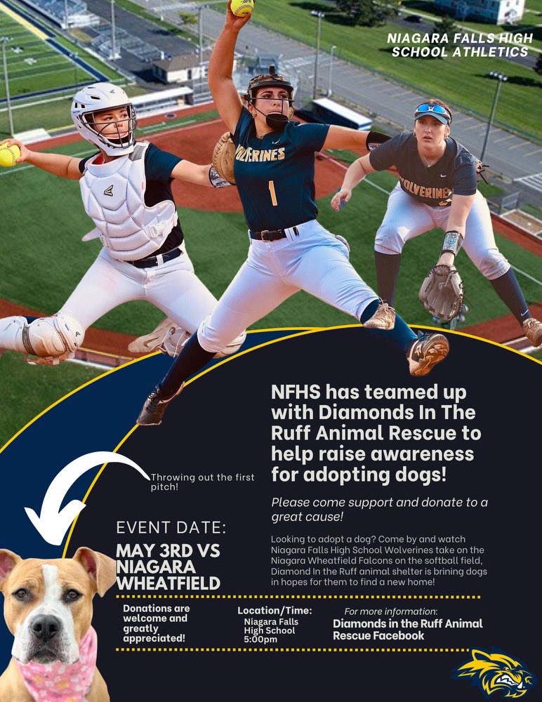Niagara Falls Softball tweet media