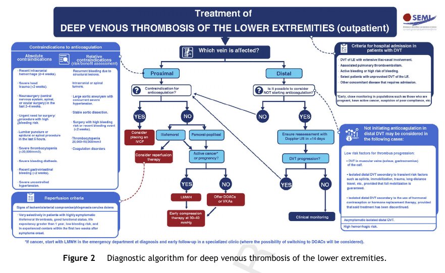 ZHeart11768530's tweet photo. 🔴 Diagnosis and treatment of deep vein thrombosis of the lower and upper limbs. 2024 recommendations

https://t.co/U2a1Ct1MsW
#MedTwitter #CardioTwitter #ACC2024
 #CardioEd #Cardiology #FOAMed #meded #MedEd #Cardiology #CardioTwitter #cardiotwitter #cardiotwiteros #CardioEd https://t.co/OwDxLvbBwG