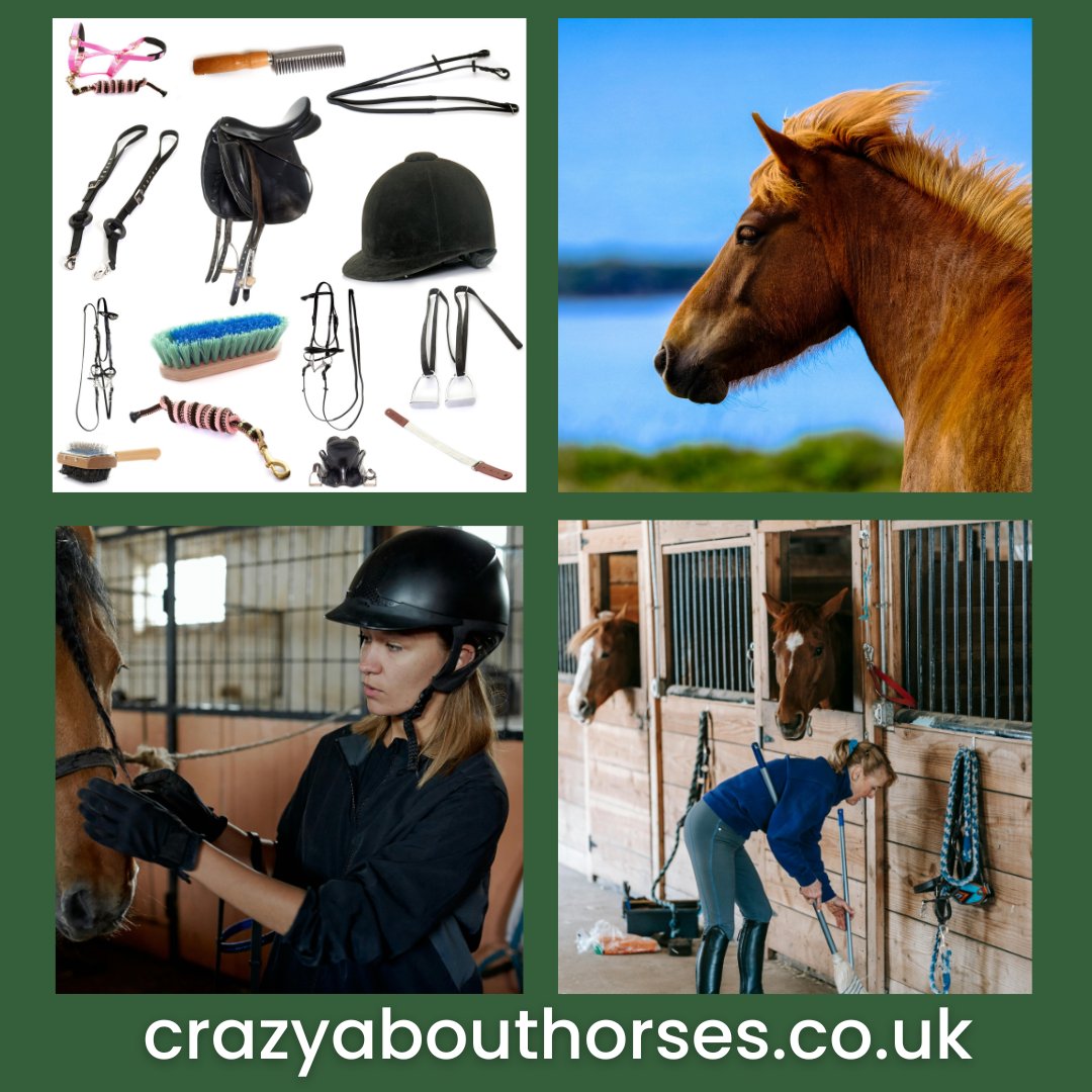 🐴 We want your Horse Tack, Equipment & Equine Gear… List it for FREE for sell or rent and start making money today! 💰 🐎

Find out more by reading our blog here - crazyabouthorses.co.uk/we-want-your-h… 

#EquestrianMarketplace #HorseMarketplace #EquineGear #HorseLovers  #HorseTack