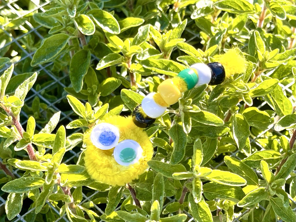 Halfway into 6 wks with TK-1st grade <a href="/oakparkusd/">Oak Park USD</a> We have talked about farming &amp; where food comes from, creatures vital to a healthy farm, why it is important to eat a rainbow of fruits &amp; veggies, &amp; how scientists found that bees need more than one type of flower nectar to thrive