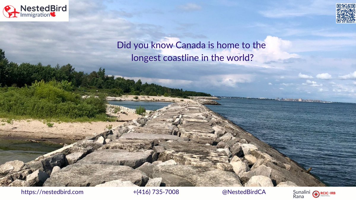 Did you know Canada is home to the longest coastline in the world, stretching over 202,080 kilometers? Explore the beauty of the Atlantic, Pacific, and Arctic Oceans! #CoastlineWonder #ExploreCanada visit nestedbird.com #NestedBirdImmigration #CanadianImmigration