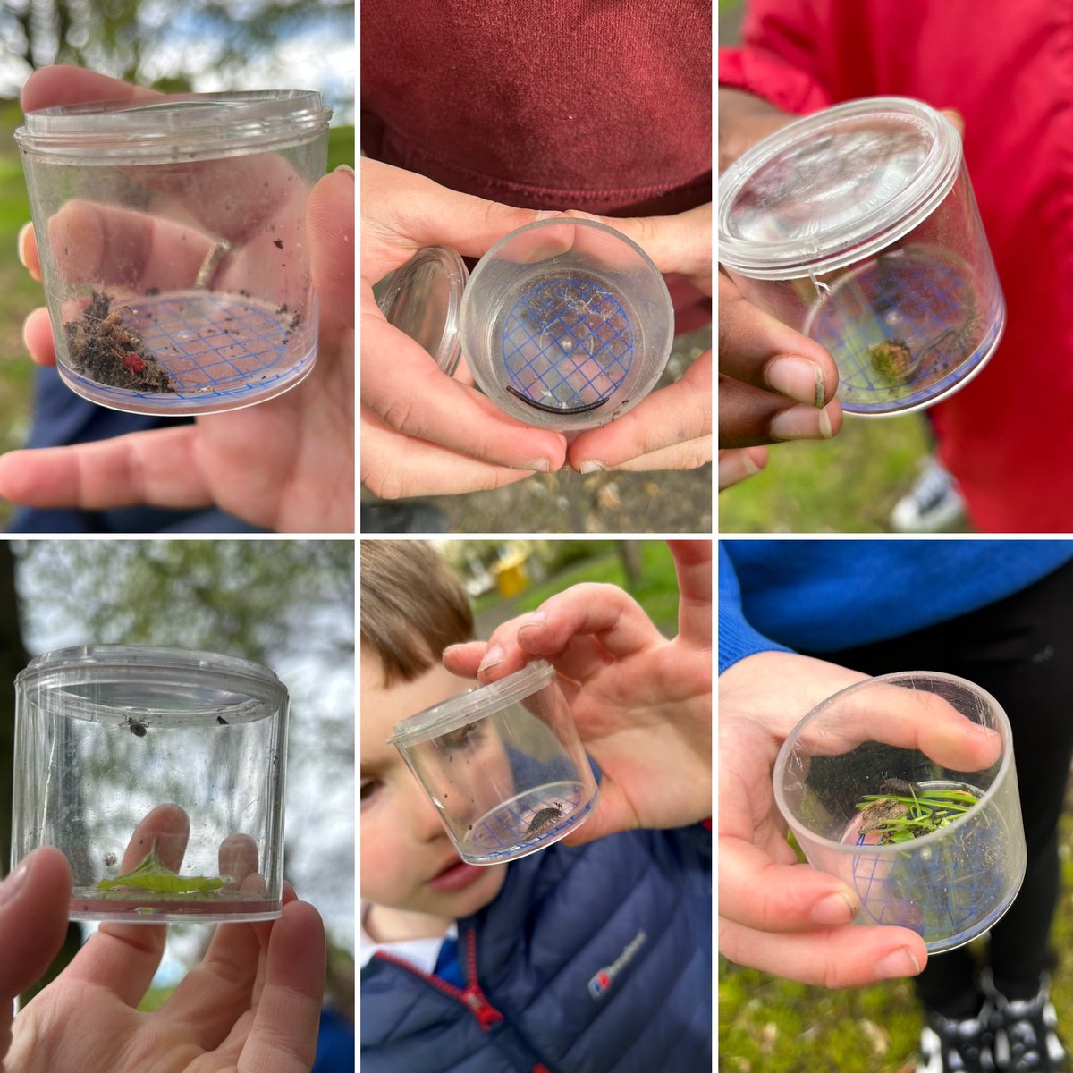 A Spring visit for P3 to Holyrood Park today 💚 We loved learning about the wildlife in the park - big & small 🦉🐞 Fun games about Food Webs and Camouflage, with some minibeast hunting 🔍 @HistEnvScot @EdinburghLfS