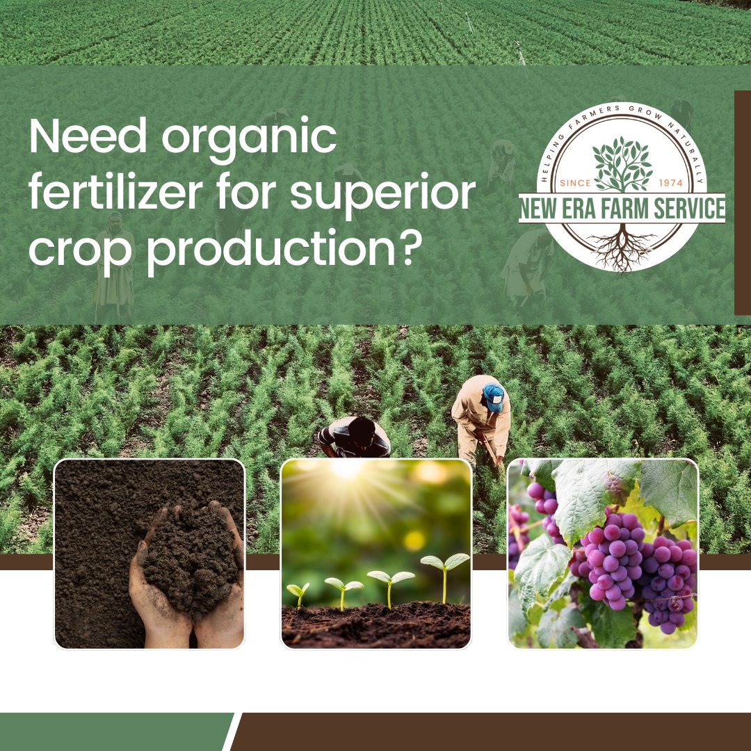 New Era Farm Service specializes in organic fertilizers tailored to meet the specific needs of growers.

Organic fertilizer for crop growers 💚 newerafarmservice.com

#NewEraFarmService #ThoughtfulThursday #organicfood