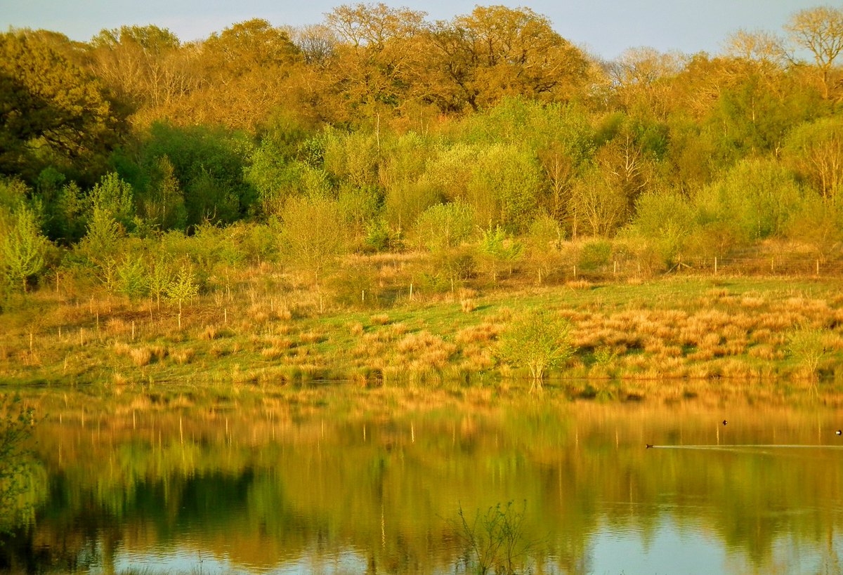 A calm bright evening last weekend #stormhour @ThePhotoHour #photography #spring #landscapephotography