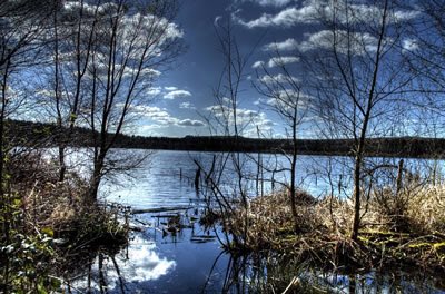 From the archives: car-free walking in Delamere Forest, one of Cheshire’s many treasures. 🌳carfreewalks.org/blog/a_gem_in_… #carfree #cheshire #walking