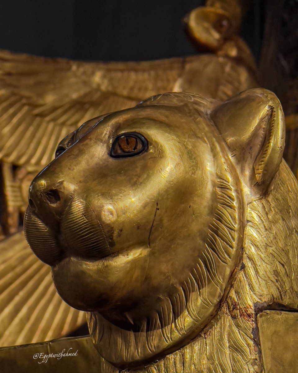 Details of Tutankhamun's throne chair! 

📸 me 
Egyptian Museum in Cairo