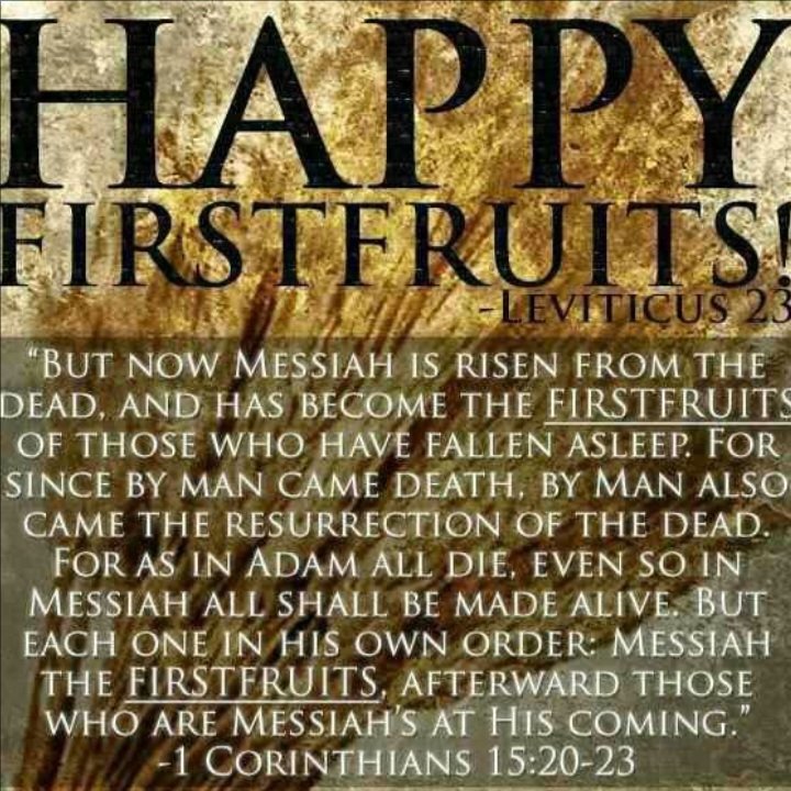 🎉HE is Risen!!!🎊 #HolyBible