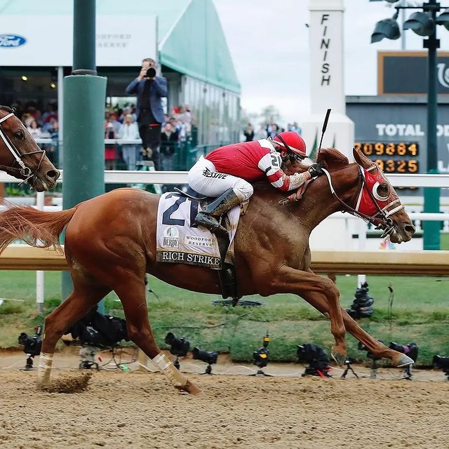 Imposible no reconocer esta imagen. 🏇🏻🌹🔝