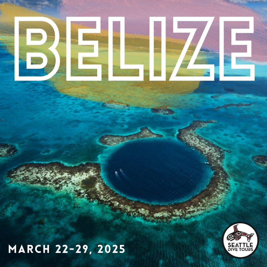 Have you ever been diving in Belize? On a yacht? With private chef prepared meals and snacks? Well, now's your chance to have it all! 

By the time next spring rolls around, you'll be more than ready for sunshine and warm water. 

BELIZE LIVEABOARD
March 22-29, 2025

Link in Bio.