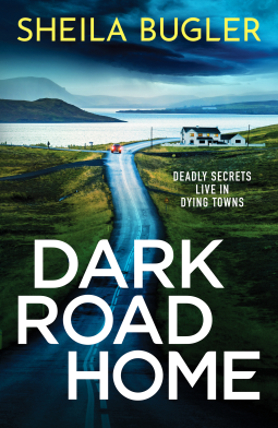 #DarkRoadHome #NetGalley #Canelo #sheilabugler @canelo_co what a ride this book is wow