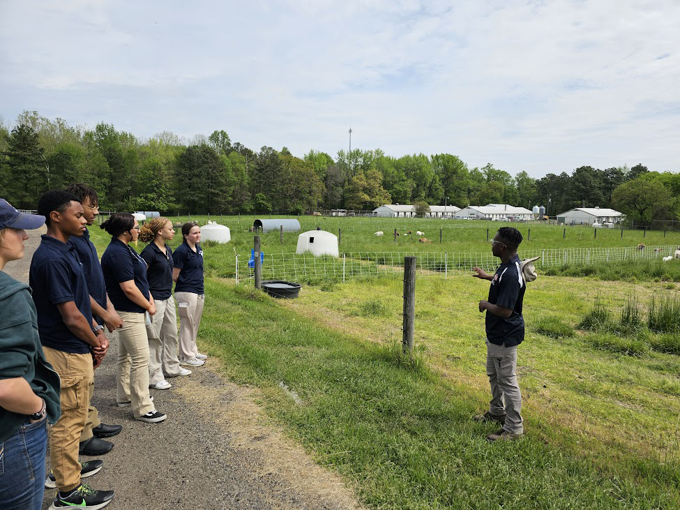 Veterinary science students from CTC@Courthouse visited College of Agriculture sites at Virginia State University. The students explored sheep facilities and pastures and undertook some diagnostic sampling.