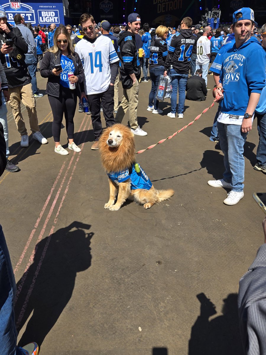 The real star of the #NFLDraft Finn