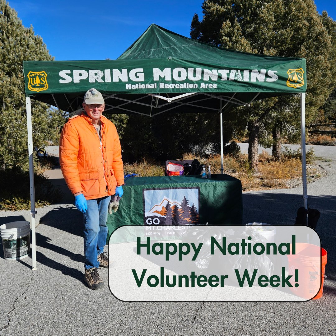 🌲 Big thanks to our 1,383 volunteers at Go Mt. Charleston! 🙌 Last year you removed 10,000lbs of trash and restored 3 acres. Your 3,517 hours of hard work keep Mt. Charleston beautiful and educate our community. You're the best! 🌿 #VolunteerAppreciationWeek #GoMtCharleston 🏞️