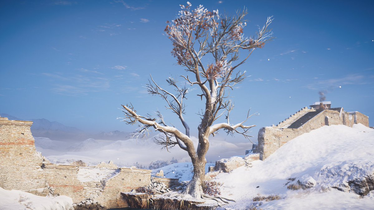 Never realised that Sycamore Gap on Hadrians Wall was so iconic as a landmark that they put it in the Assassins Creed Valhalla game world set in the late 9th century. Eivor Varinsdottir poses for a selfie with the tree 🙂 (which was never there of course in the 9th c. CE)